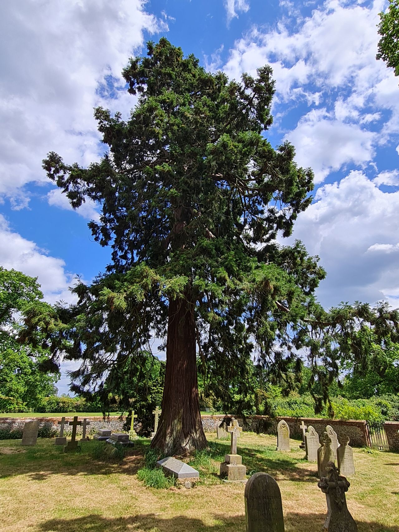 2025-05-23 32 Thelveton Church.jpg