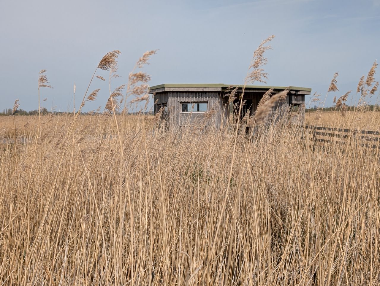 2026-04-09 04 Carlton Marshes.jpg