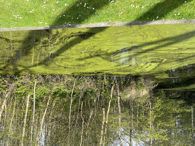 2026-04-19 03 Lowestoft.jpg