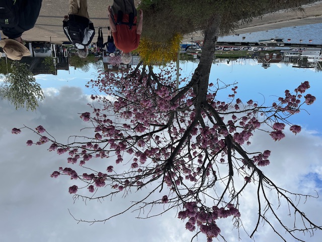 2026-04-19 05 Lowestoft.jpg