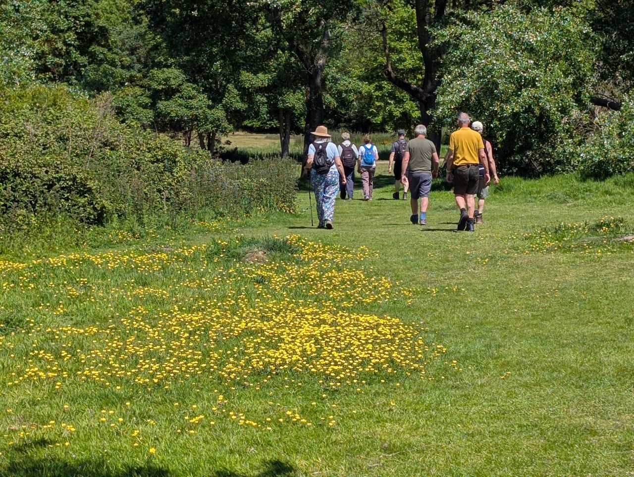 2026-05-24 10 Lowestoft Normanston Gunton.jpg