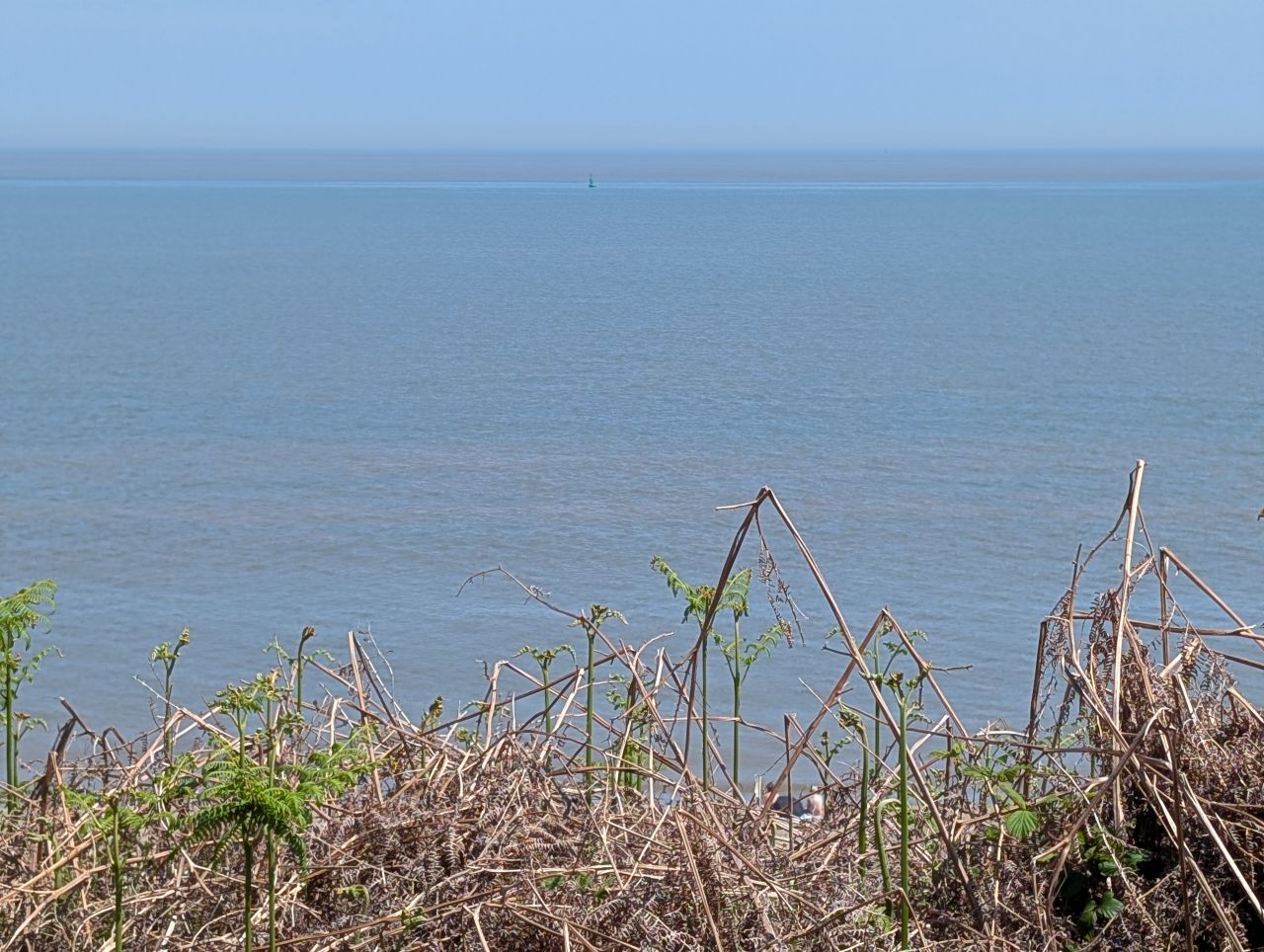 2026-05-24 11 Lowestoft Normanston Gunton.jpg