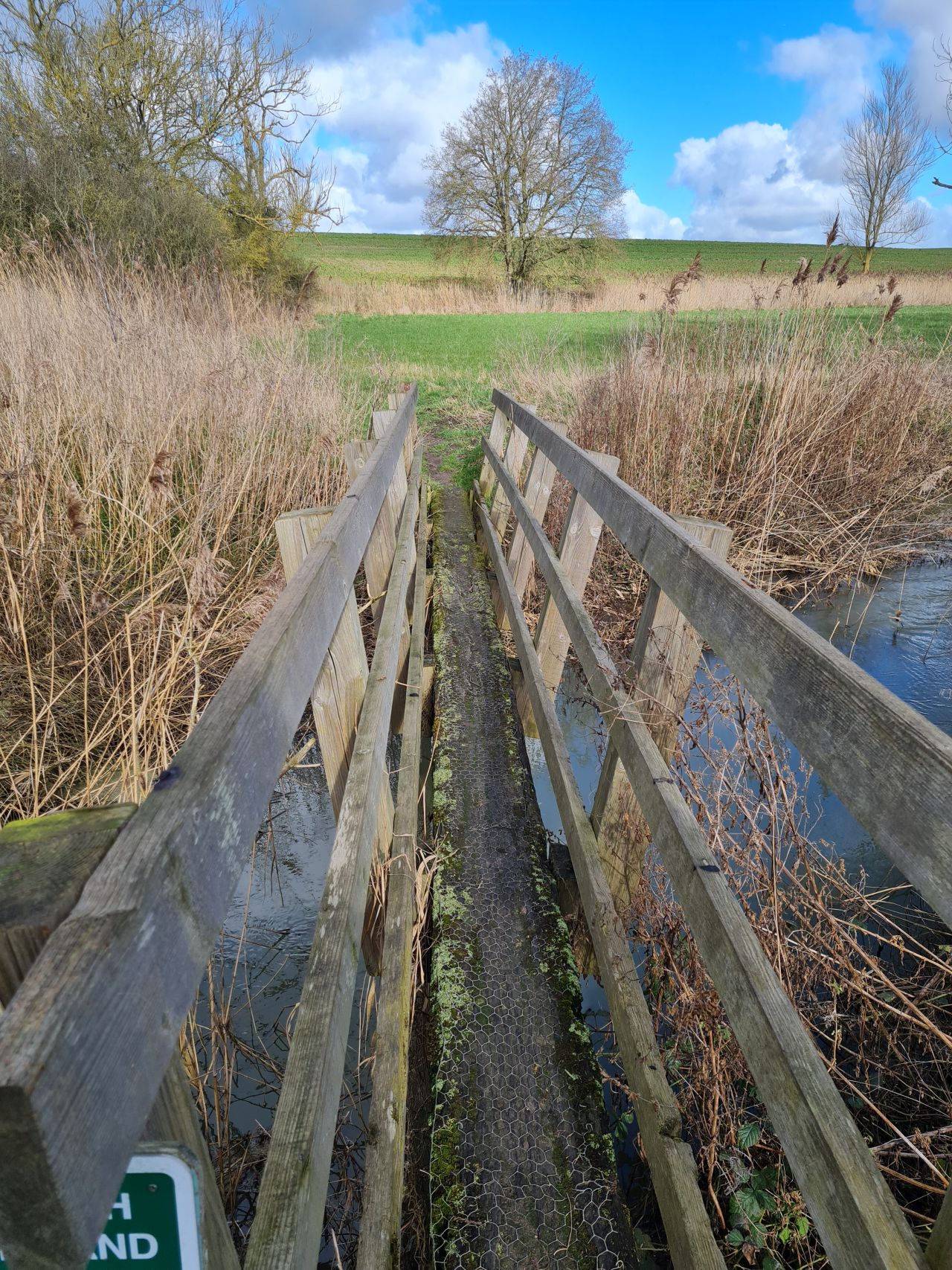 2025-02-28 01 Hedenham and Thwaite Saint Mary.jpg
