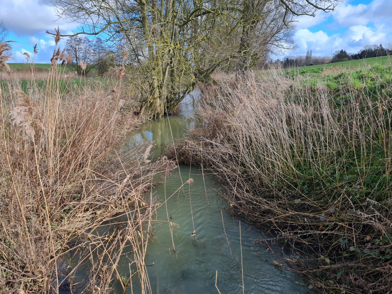 2025-02-28 02 Hedenham and Thwaite Saint Mary.jpg