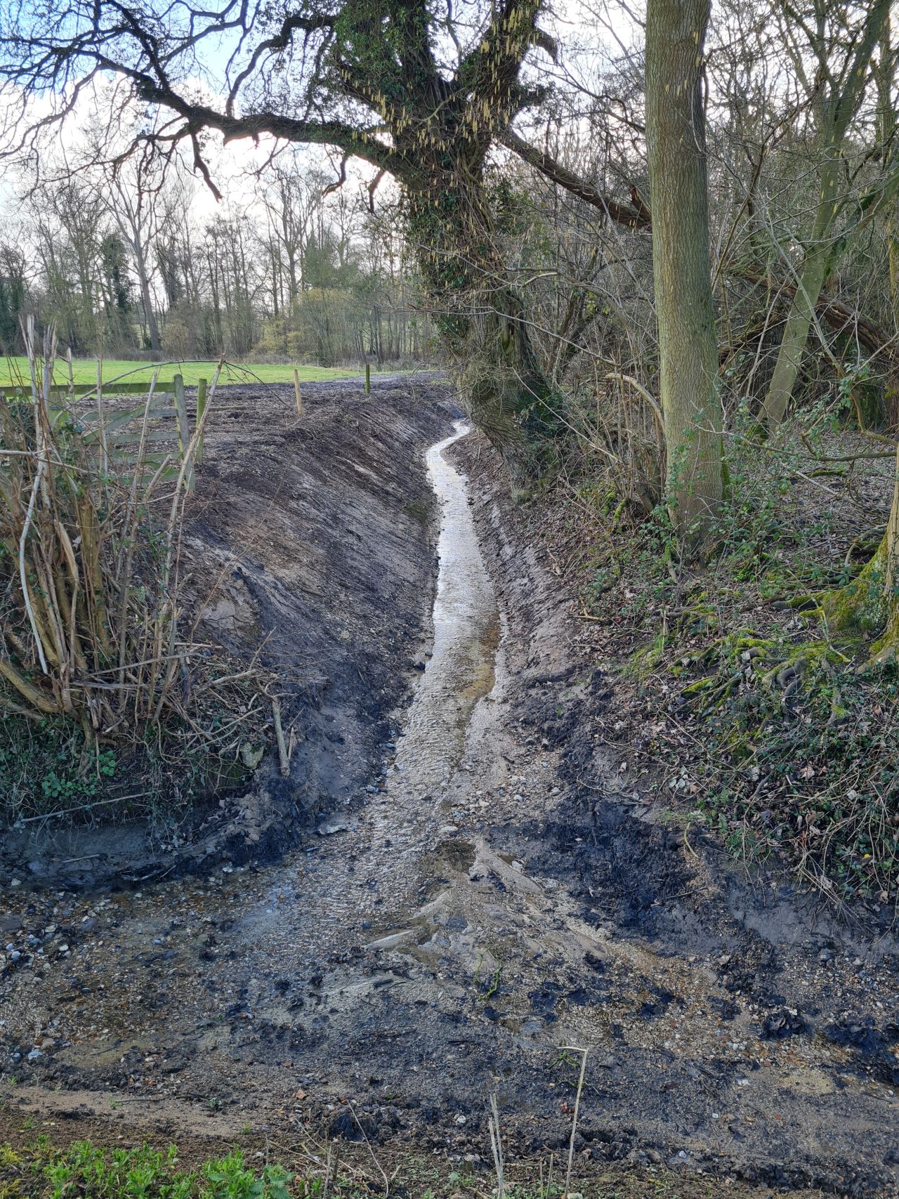 2025-02-28 04 Hedenham and Thwaite Saint Mary.jpg