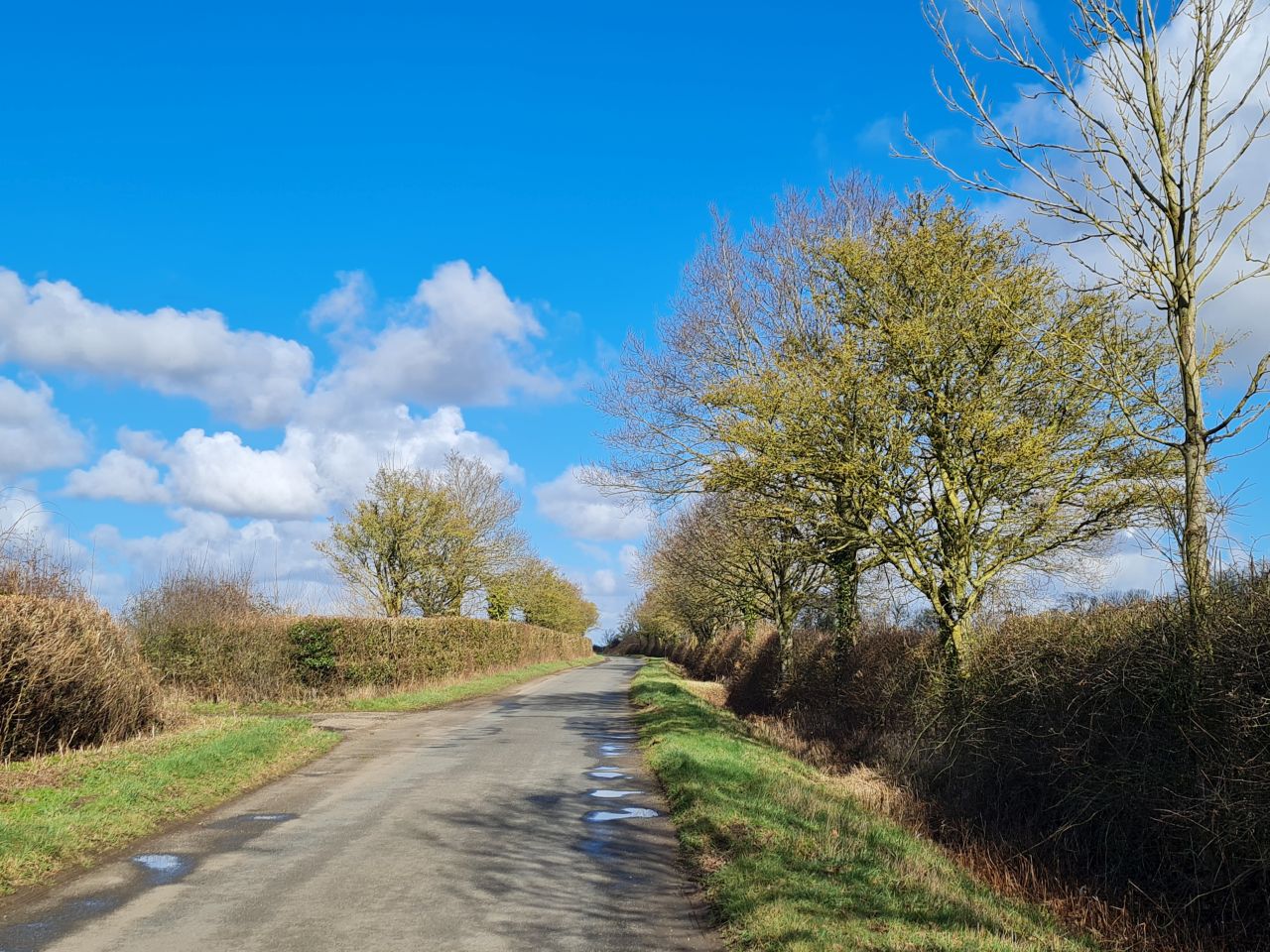 2025-02-28 18 Hedenham and Thwaite Saint Mary.jpg