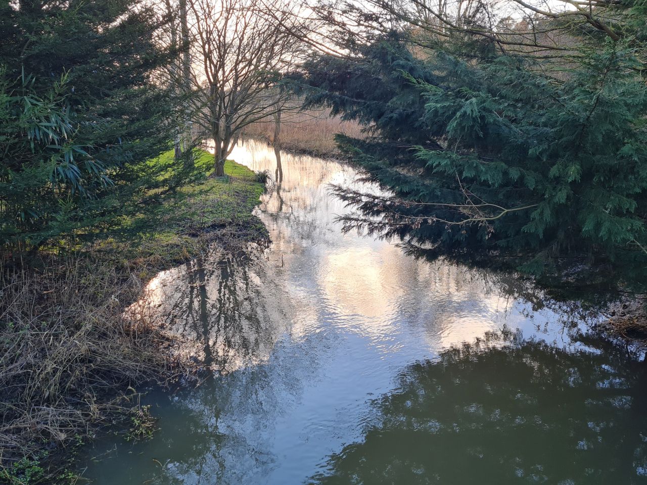 2025-02-28 40 Hedenham and Thwaite Saint Mary.jpg