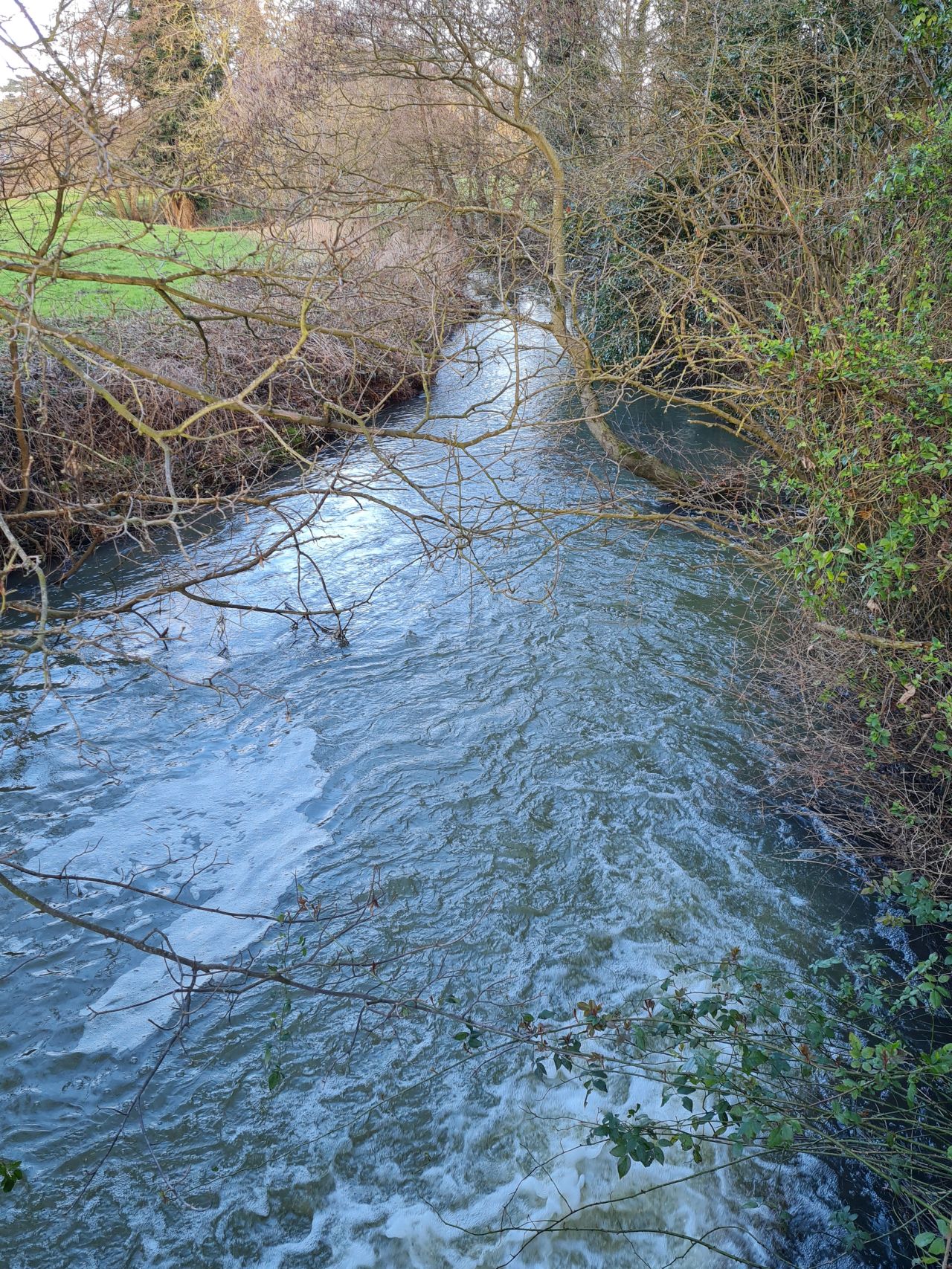 2025-02-28 41 Hedenham and Thwaite Saint Mary.jpg