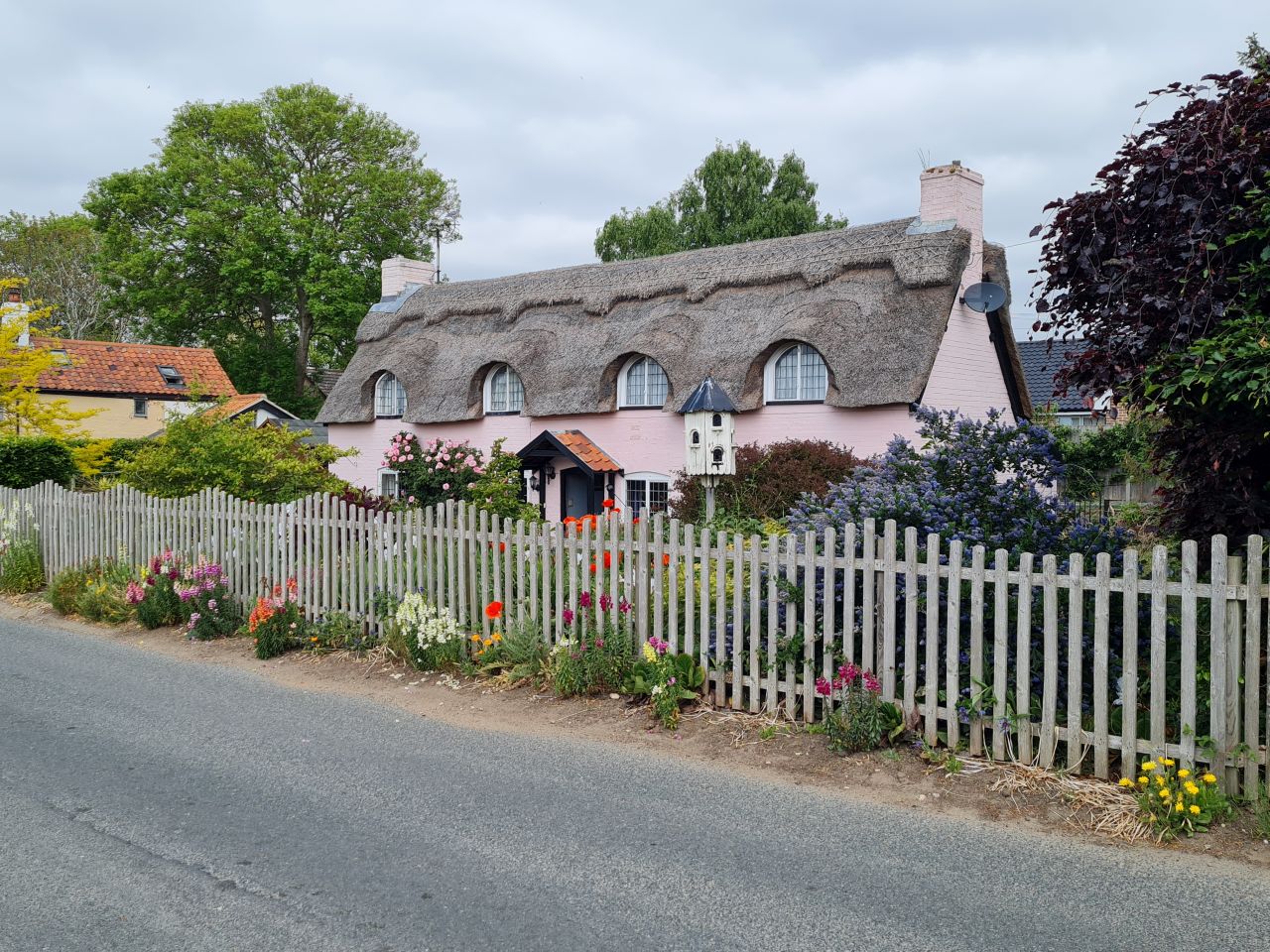 2025-05-21 11 Framingham Pigot.jpg