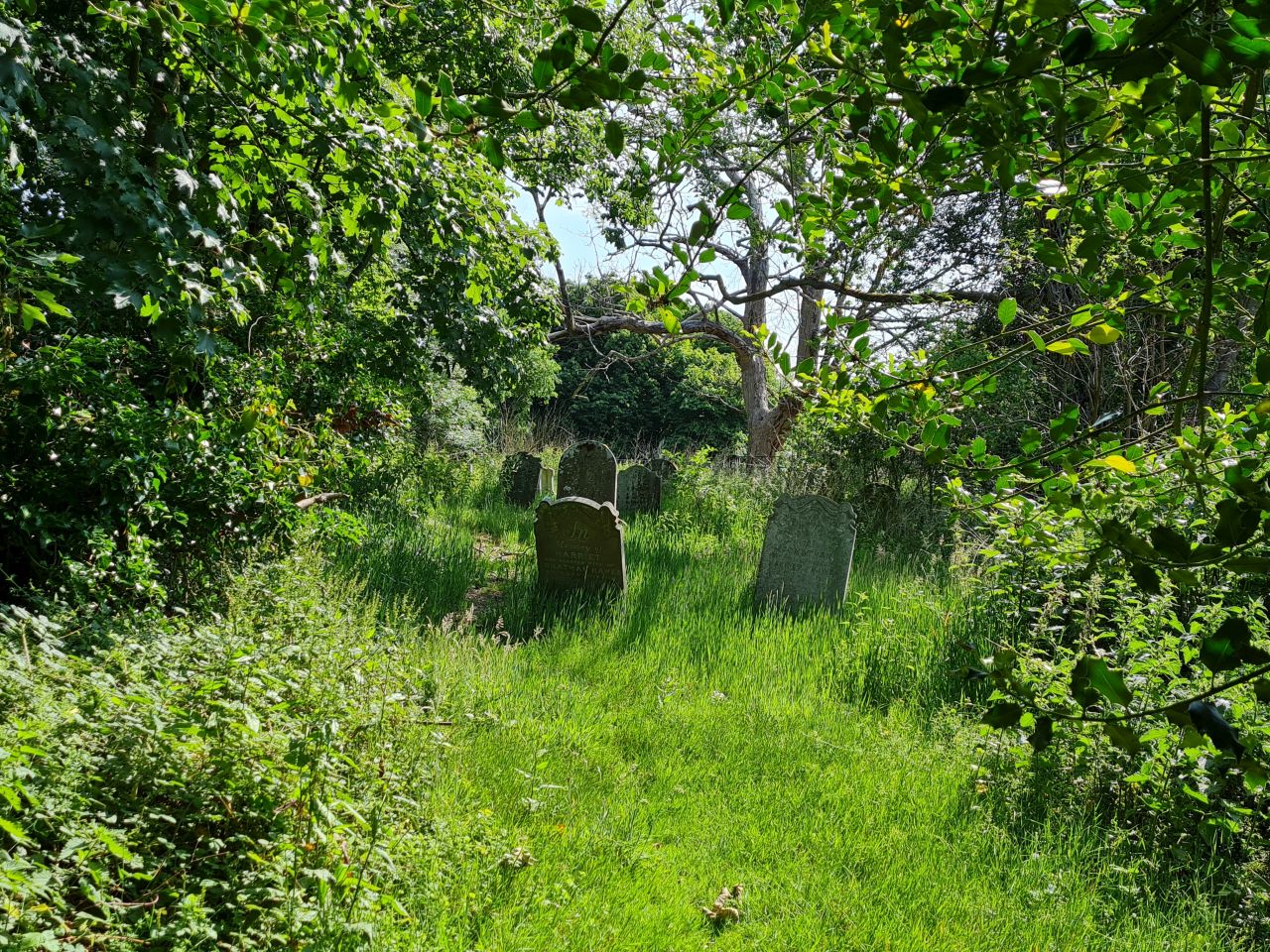 2025-06-11 01 Gillingham All Saints Ruins.jpg
