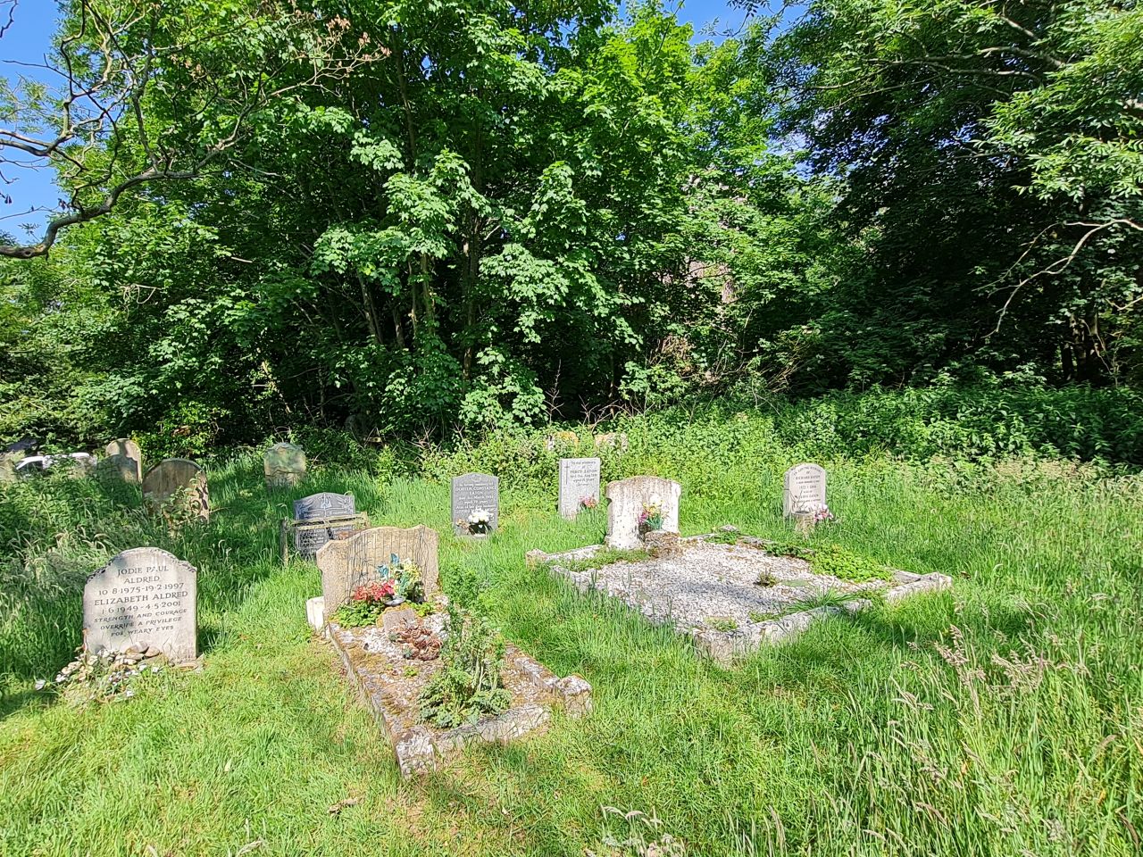 2025-06-11 02 Gillingham All Saints Ruins.jpg
