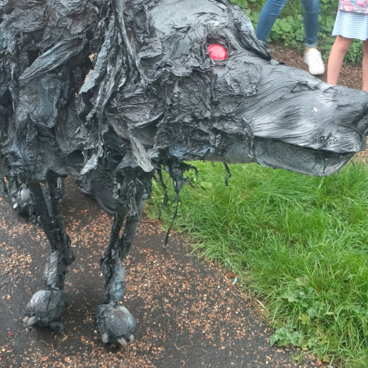 2026-08-01 02 Black Shuck Festival.jpg