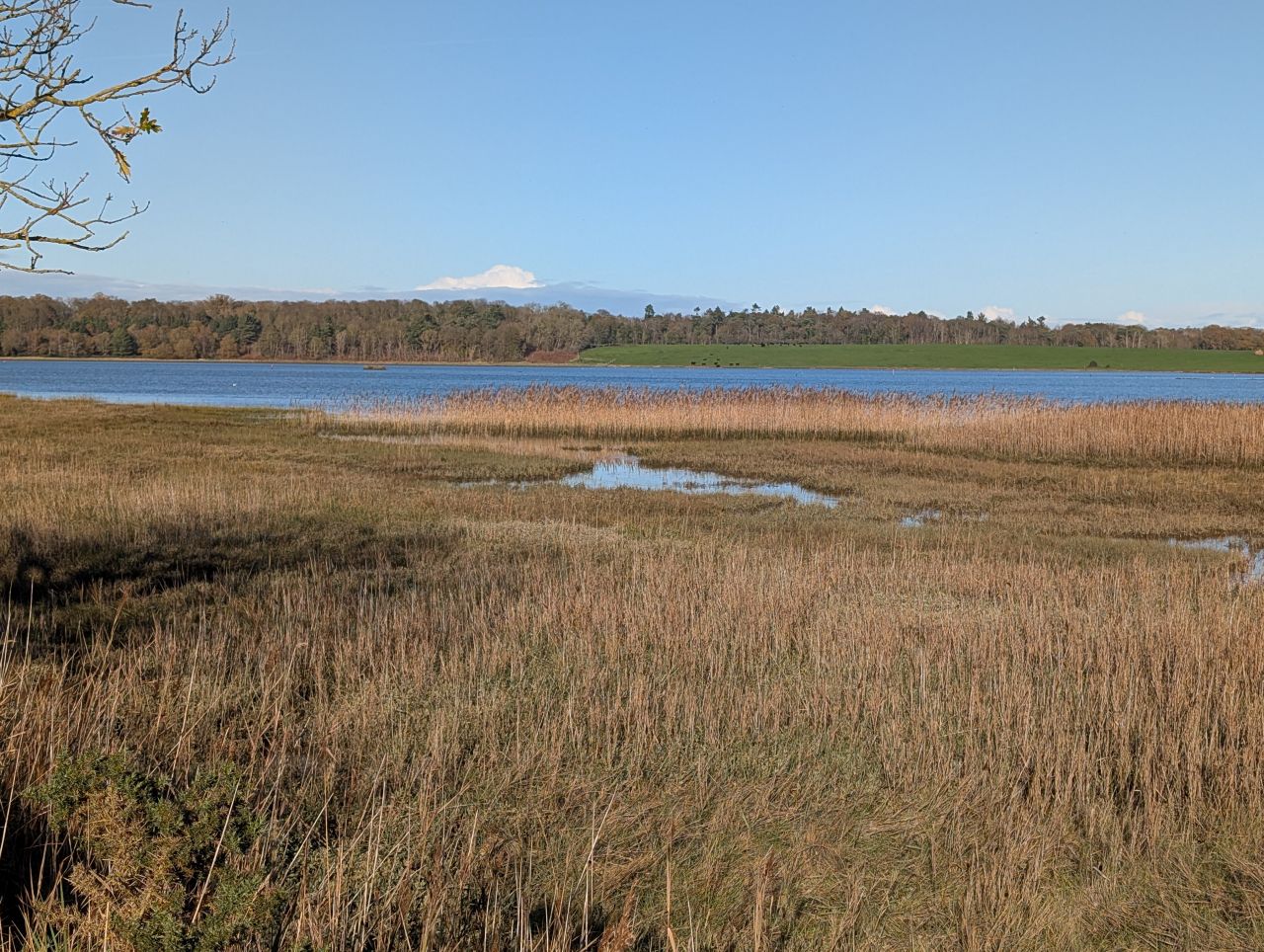 2025-11-21 02 Blythburgh.jpg