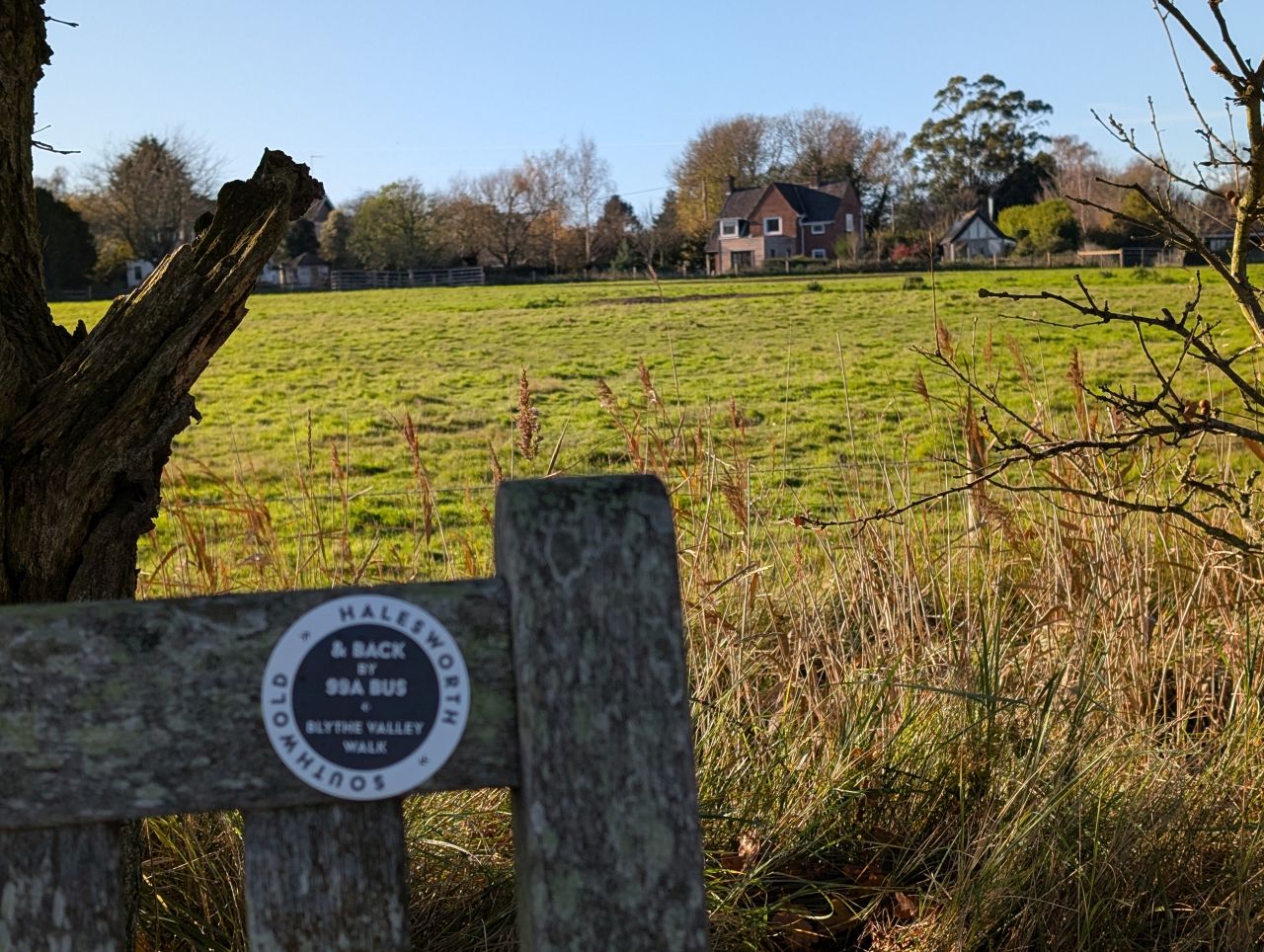 2025-11-21 03 Blythburgh.jpg