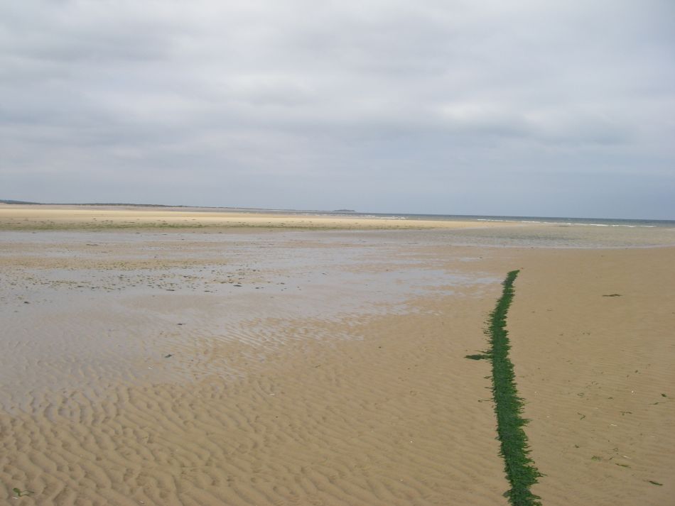 2022-11-14 31 Burnham Overy Staithe Various Dates.jpg