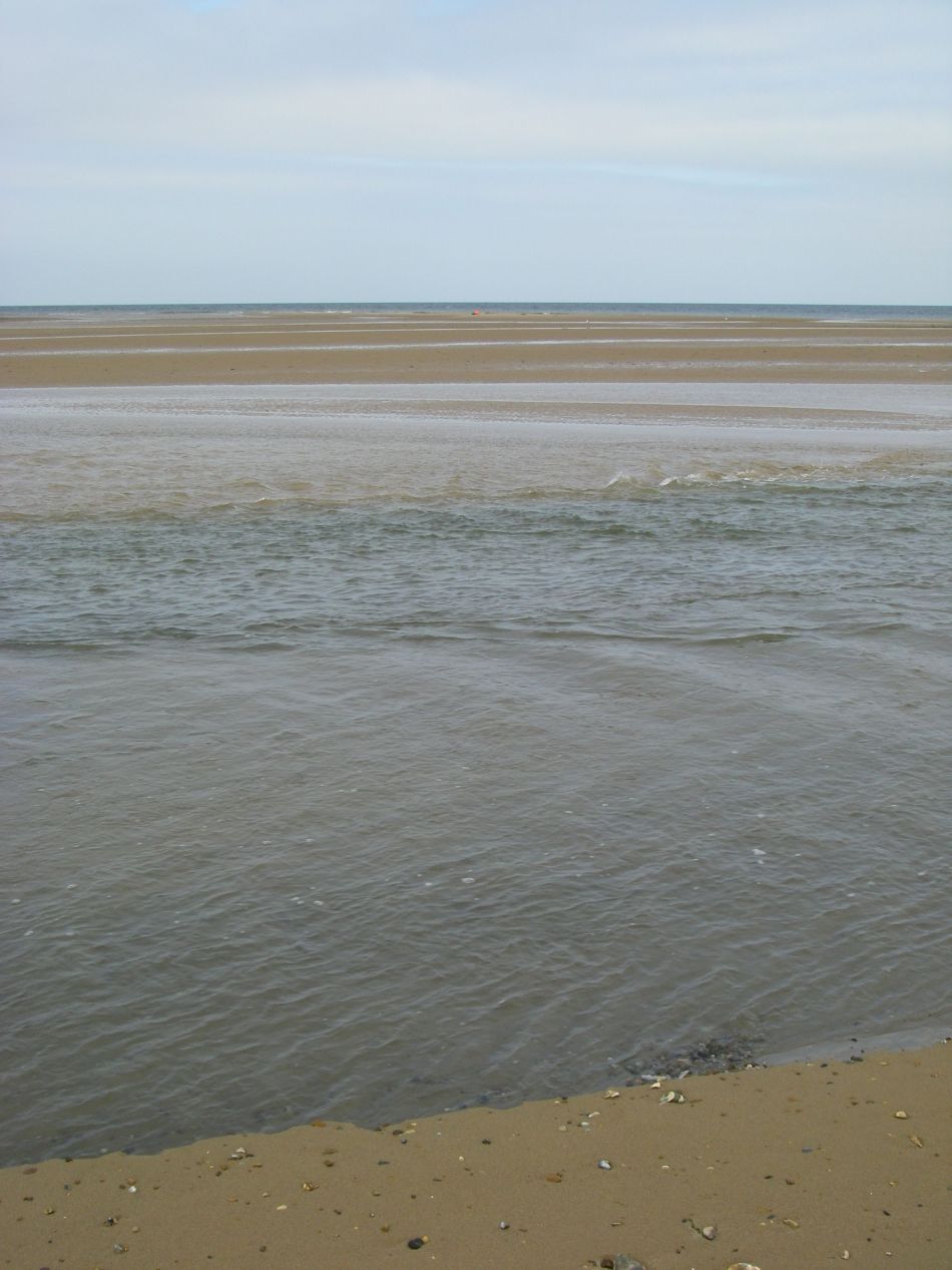 2022-11-14 35 Burnham Overy Staithe Various Dates.jpg