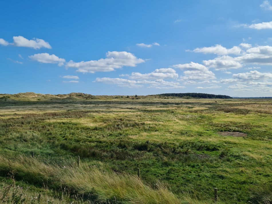 2023-08-22 14 Burnham Overy Staithe and Holkham.jpg