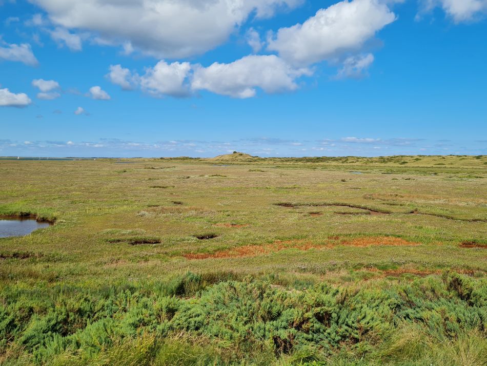 2023-08-22 15 Burnham Overy Staithe and Holkham.jpg