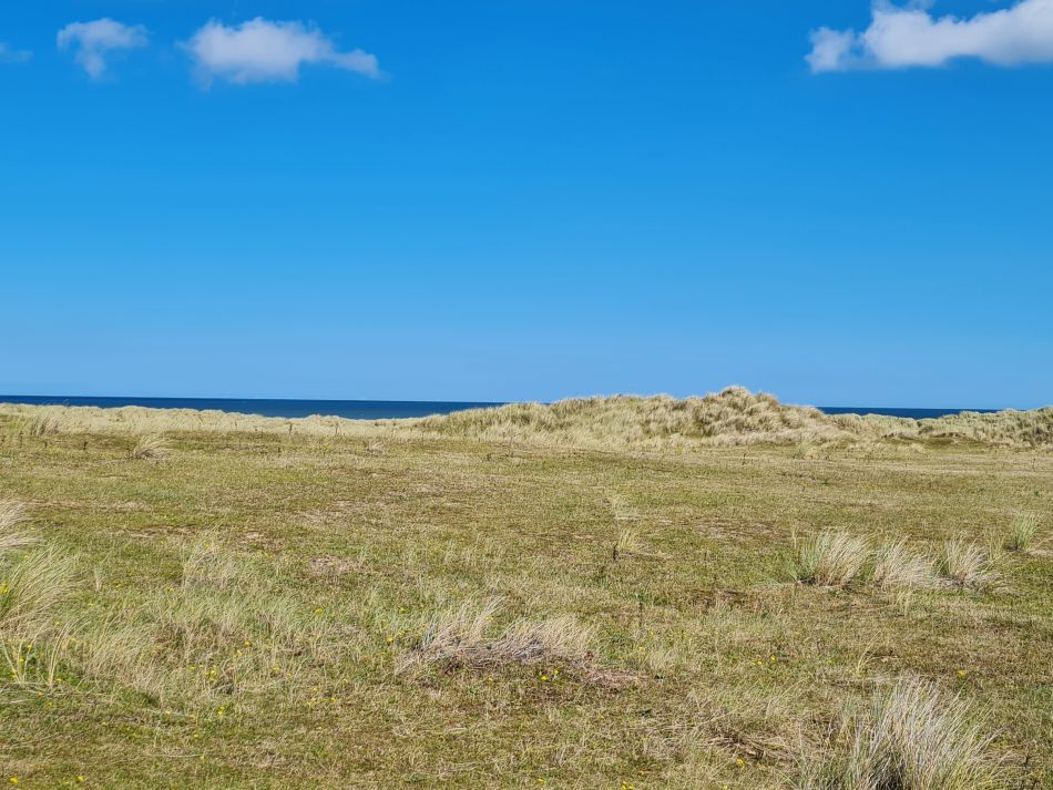 2023-08-22 16 Burnham Overy Staithe and Holkham.jpg