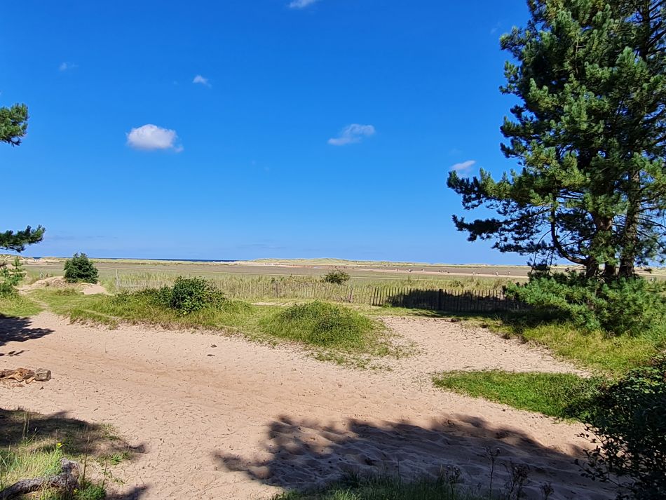 2023-08-22 23 Burnham Overy Staithe and Holkham.jpg