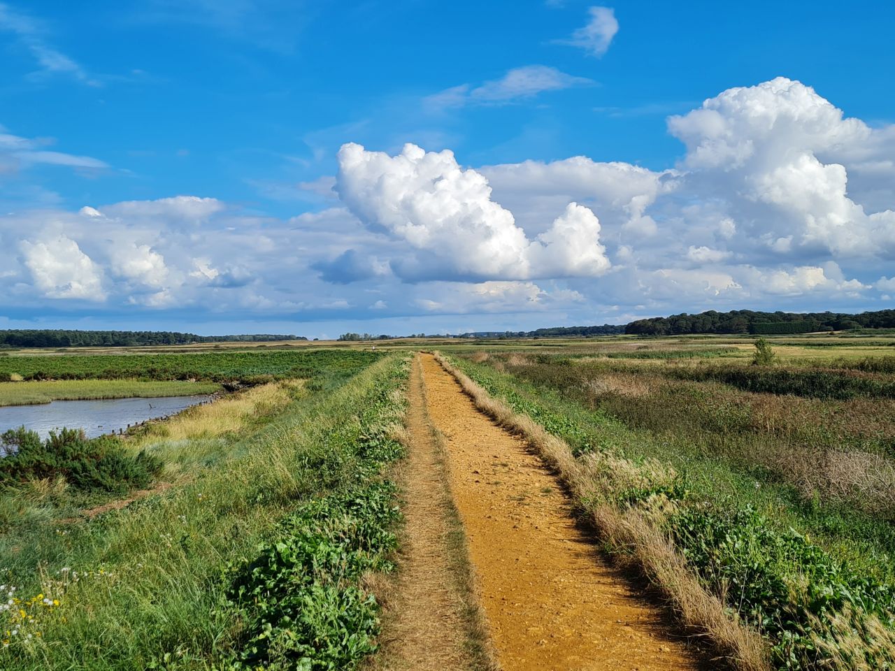 2024-09-08 11 Burnham Overy Staithe.jpg