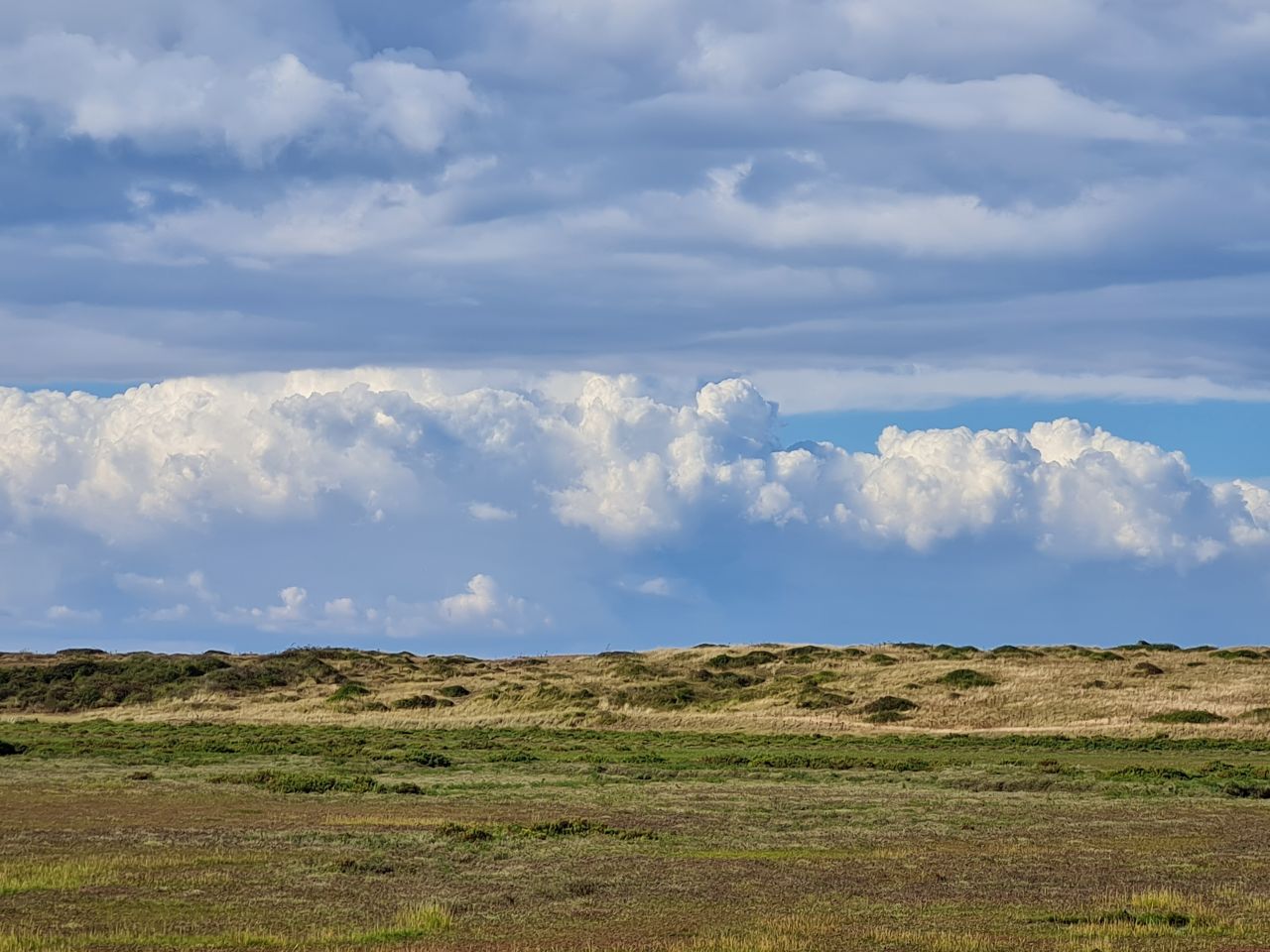 2024-09-08 13 Burnham Overy Staithe.jpg