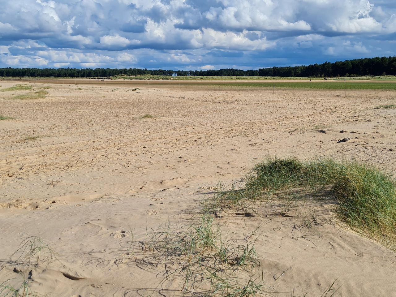 2024-09-08 20 Burnham Overy Staithe.jpg