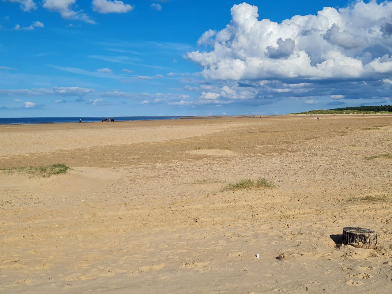 2024-09-08 21 Burnham Overy Staithe.jpg