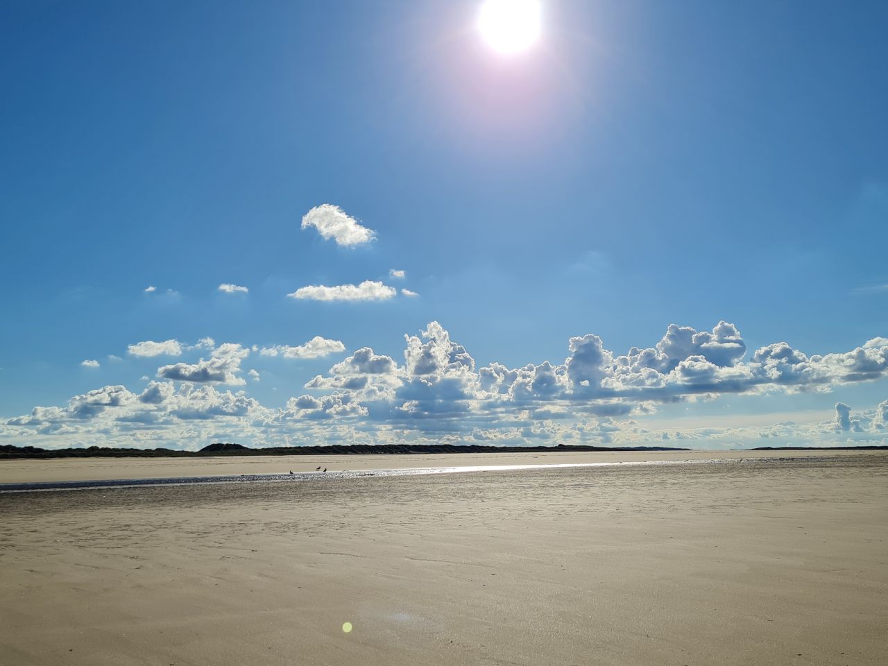 2024-09-08 24 Burnham Overy Staithe.jpg