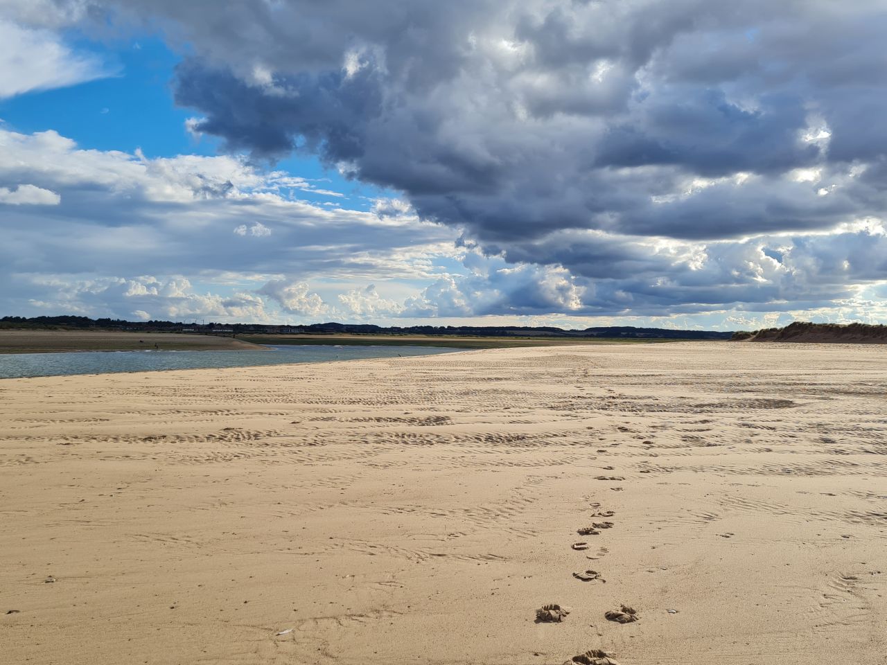 2024-09-08 30 Burnham Overy Staithe.jpg