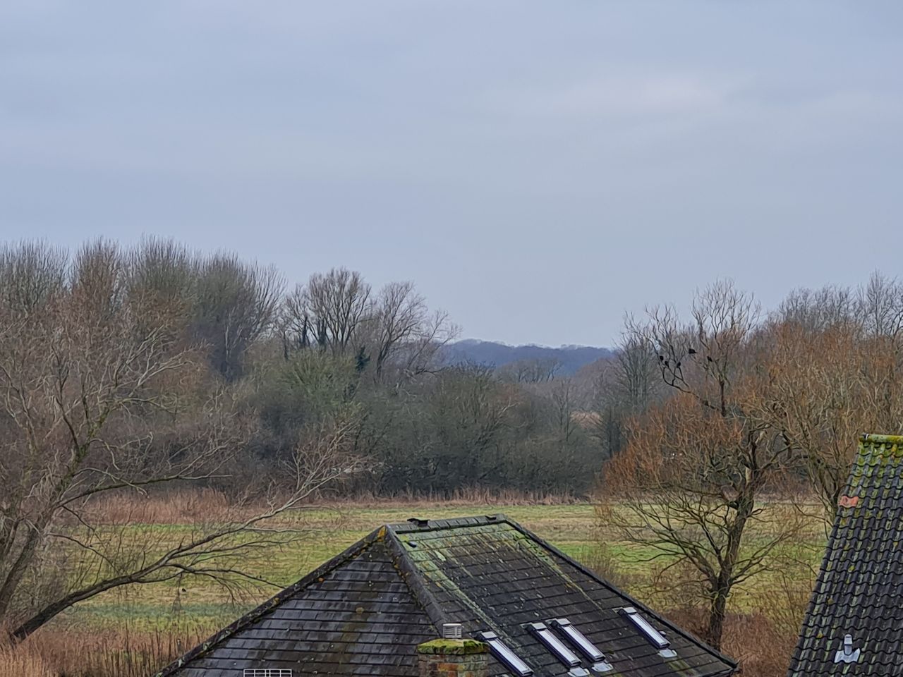 2025-02-12 26 Beccles Common and Town.jpg