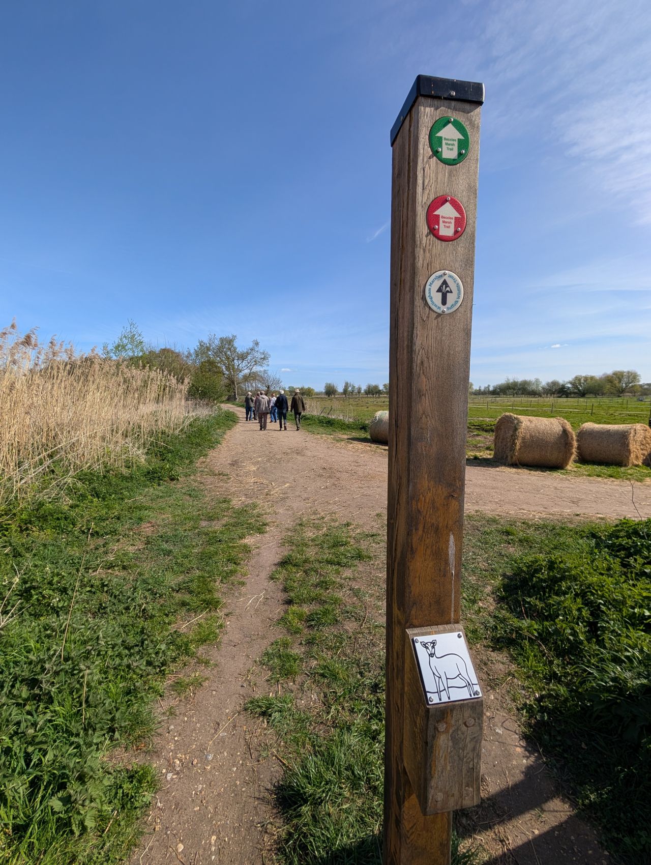2026-04-10 04 Beccles River and Common.jpg