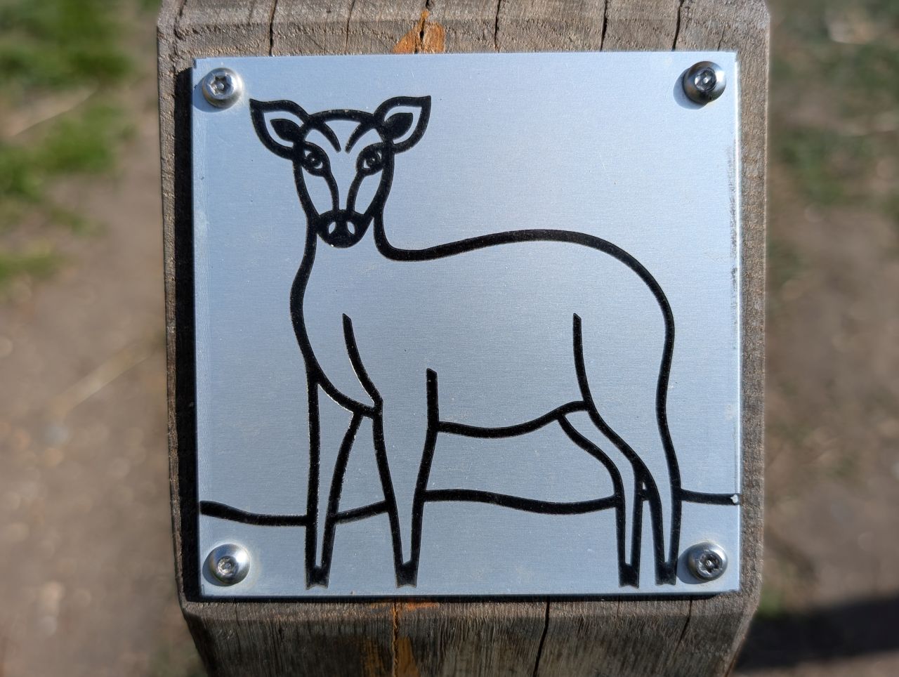 2026-04-10 05 Beccles River and Common.jpg