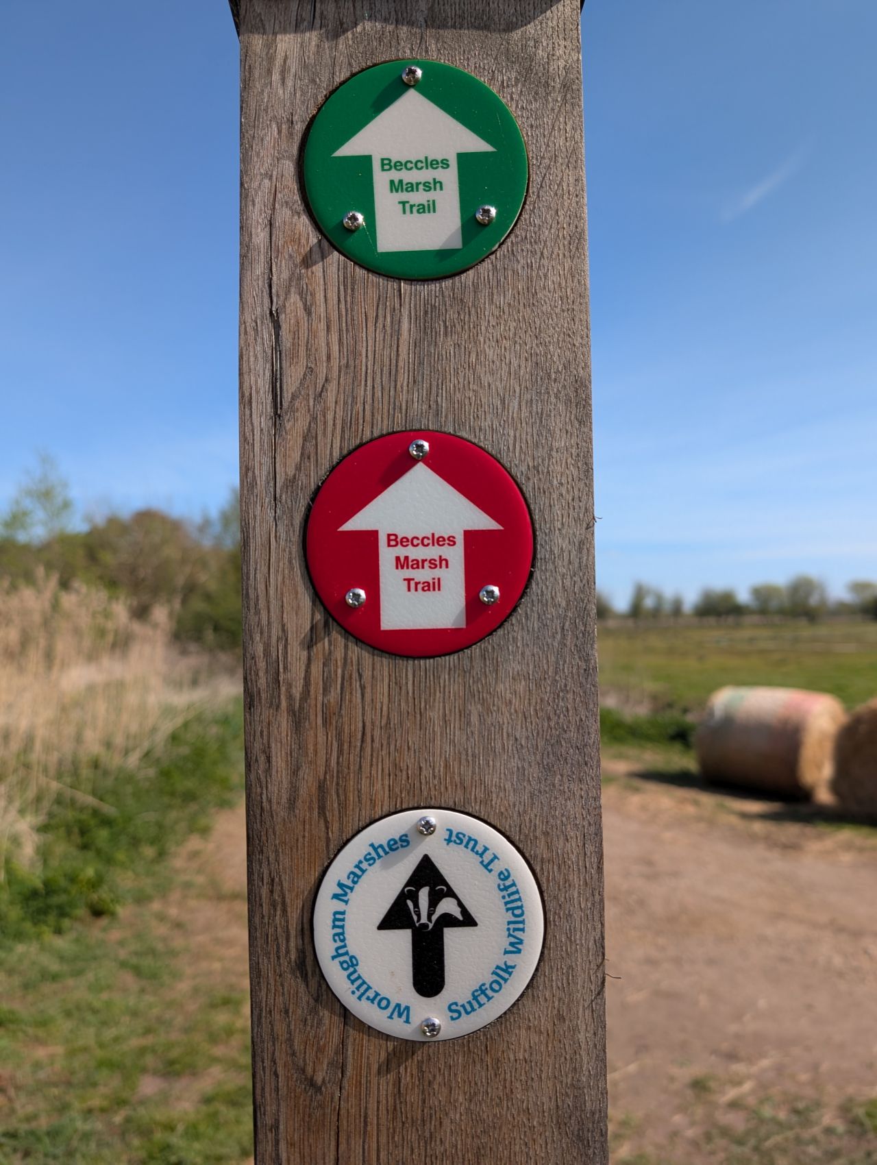 2026-04-10 06 Beccles River and Common.jpg