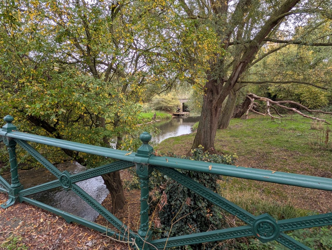 2025-10-18 17 Bus Walk - Harleston to Wortwell Station Farm.jpg