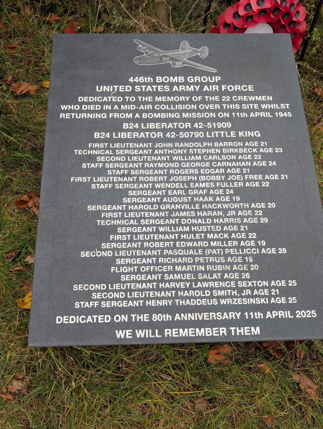 2025-10-18 27 Bus Walk - Harleston to Wortwell Station Farm.jpg