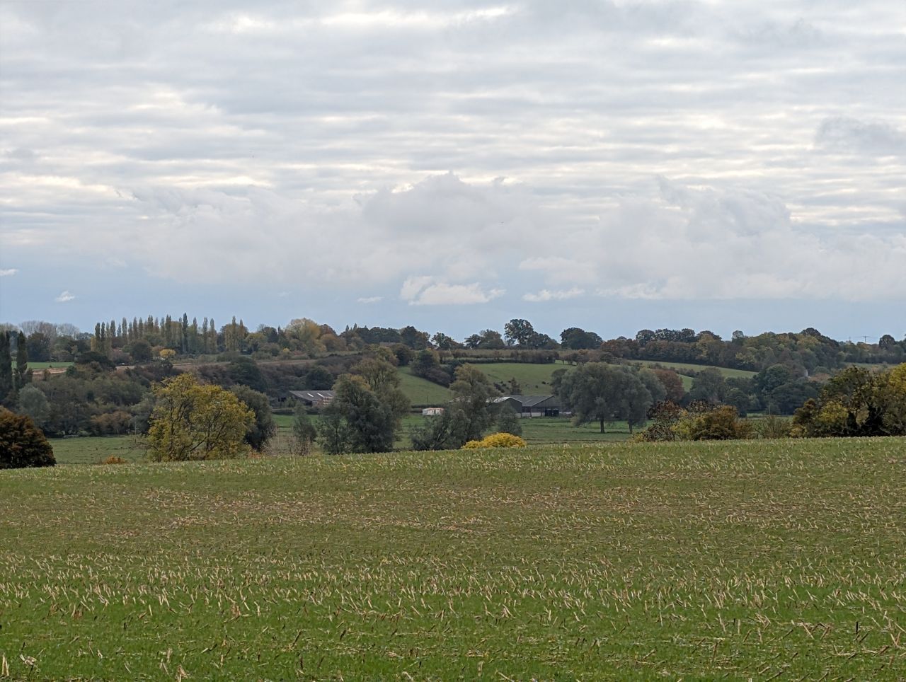 2025-10-18 33 Bus Walk - Harleston to Wortwell Station Farm.jpg
