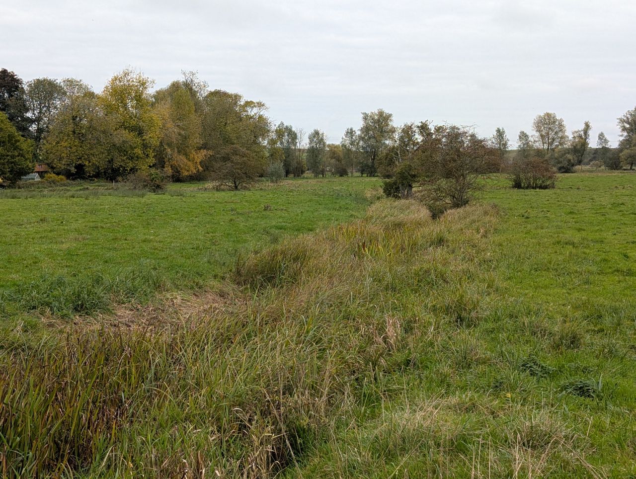 2025-10-18 35 Bus Walk - Harleston to Wortwell Station Farm.jpg