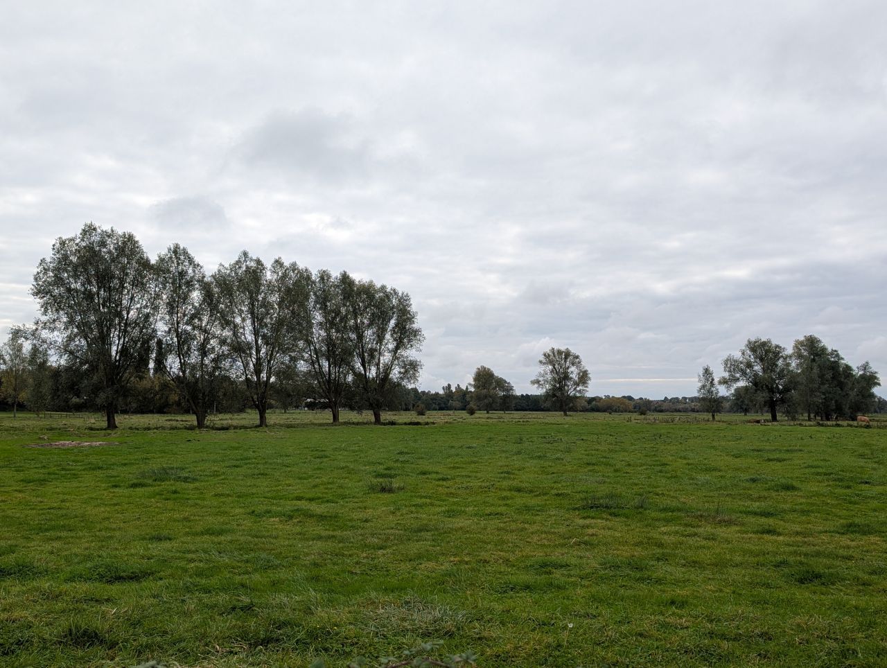 2025-10-18 36 Bus Walk - Harleston to Wortwell Station Farm.jpg