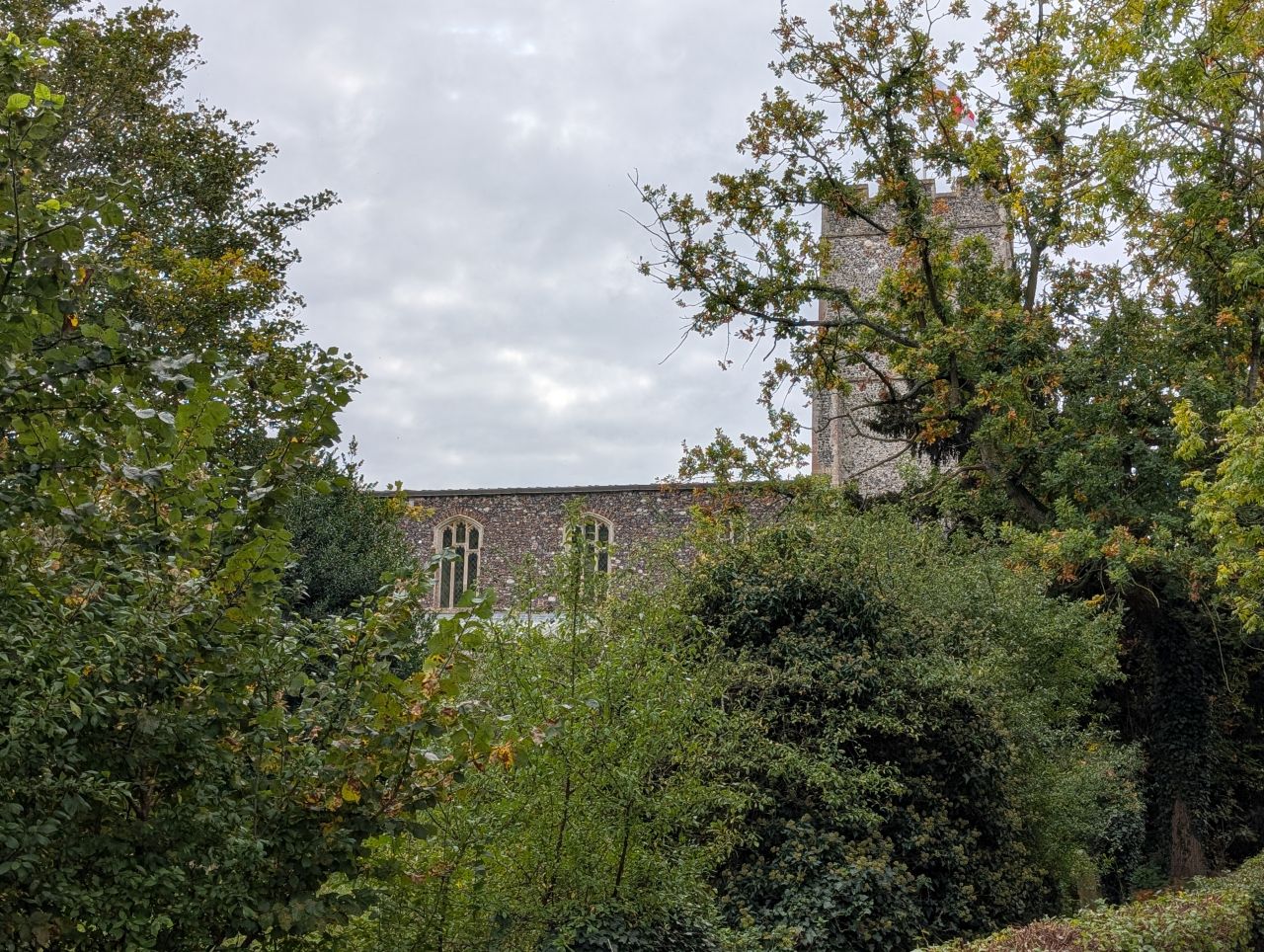 2025-10-18 42 Bus Walk - Harleston to Wortwell Station Farm.jpg