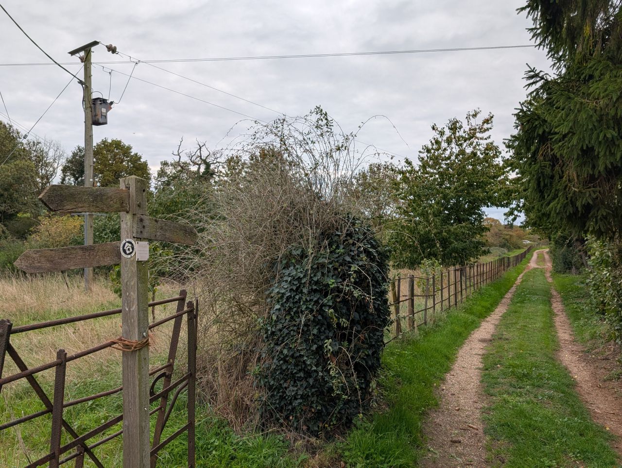 2025-10-18 66 Bus Walk - Harleston to Wortwell Station Farm.jpg