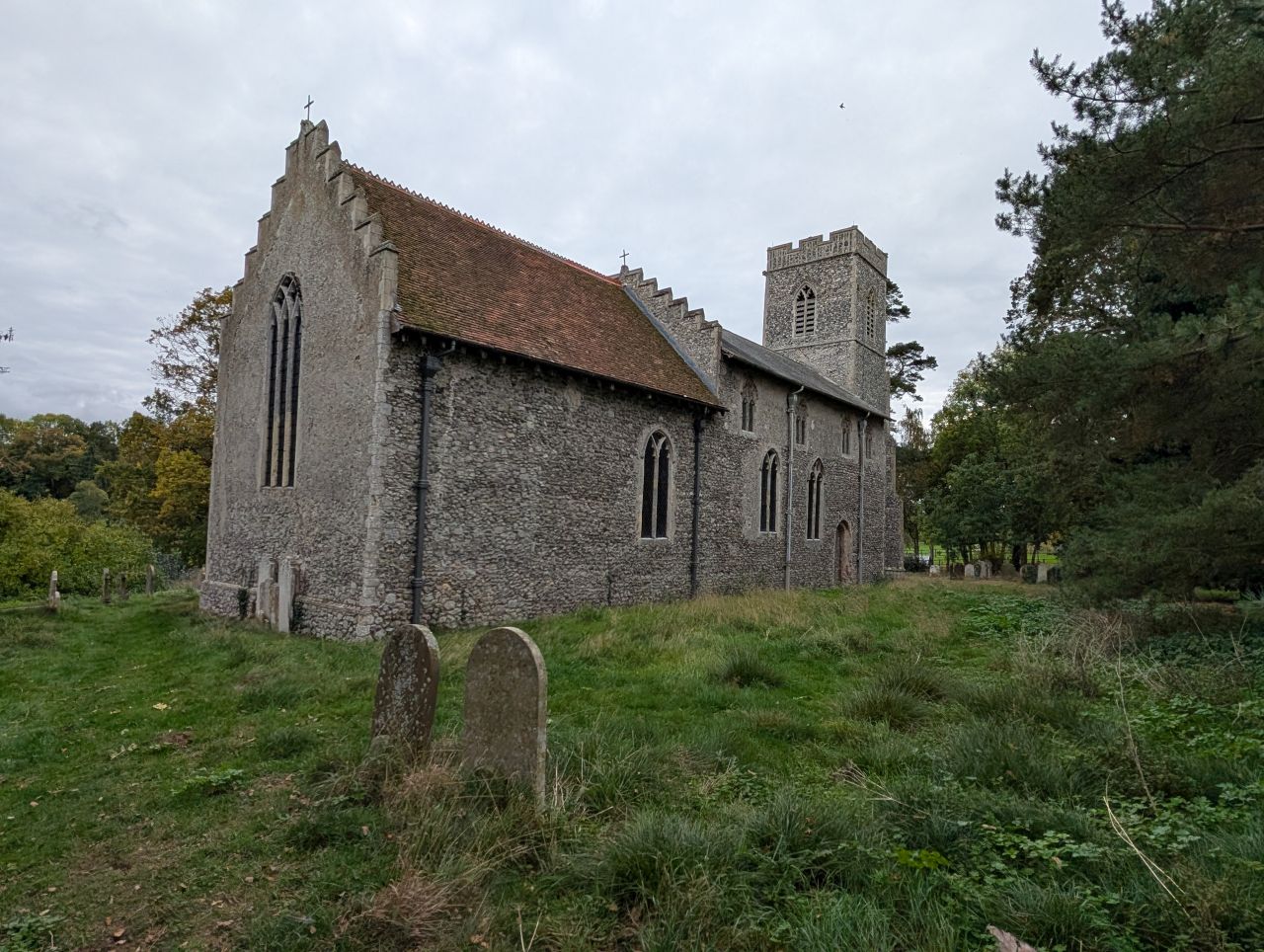 2025-10-18 78 Bus Walk - Harleston to Wortwell Station Farm.jpg