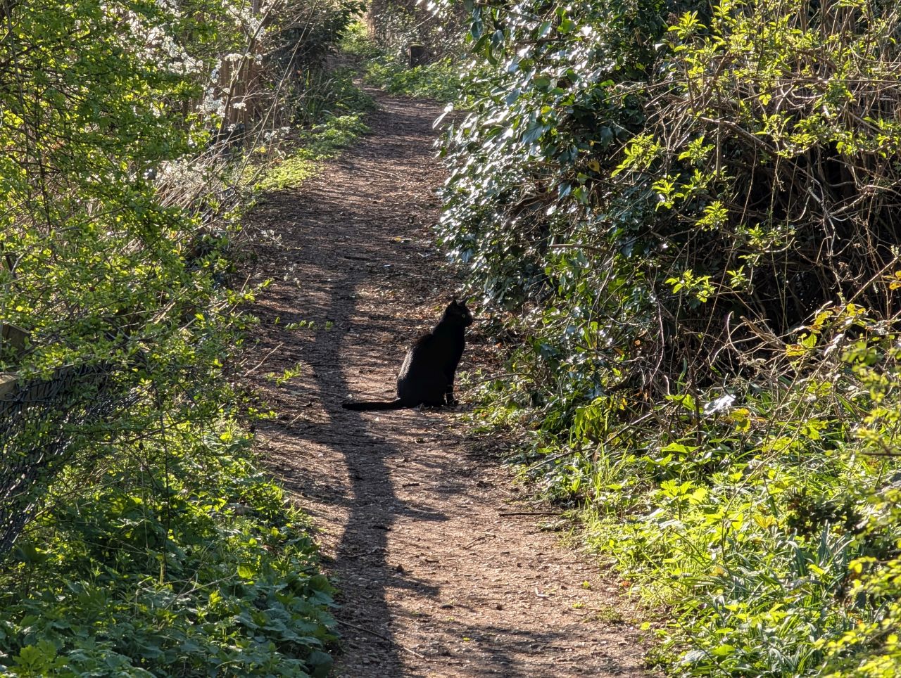 2026-03-19 01 Boxford and Hadleigh Heath.jpg