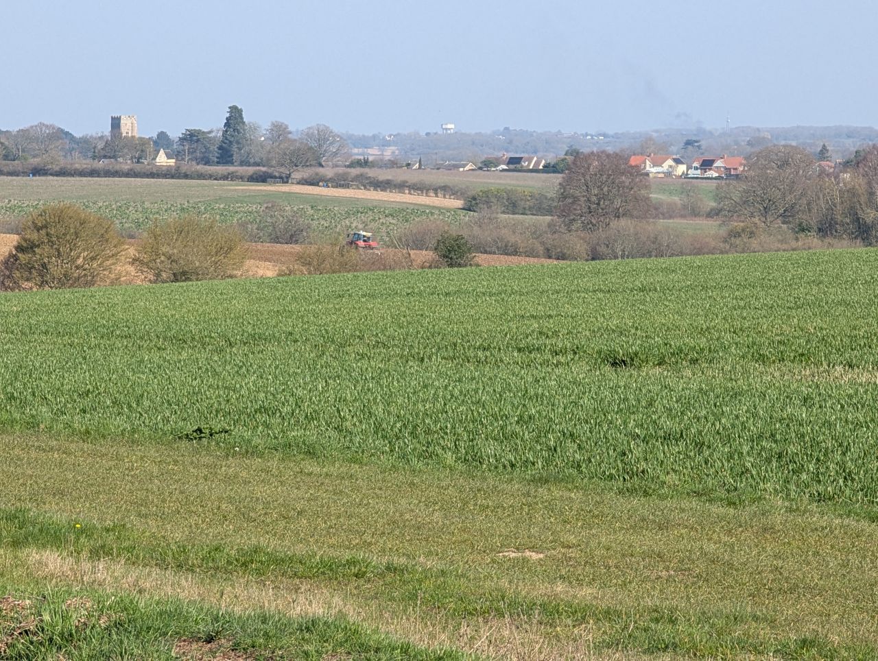 2026-03-19 08 Boxford and Hadleigh Heath.jpg