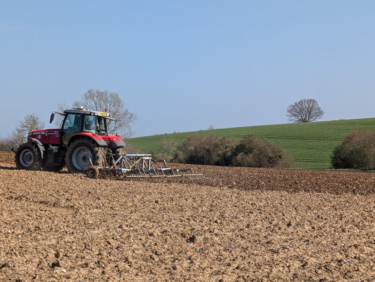 2026-03-19 11 Boxford and Hadleigh Heath.jpg