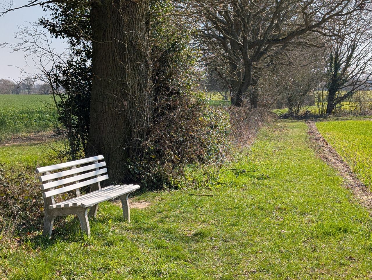 2026-03-19 12 Boxford and Hadleigh Heath.jpg