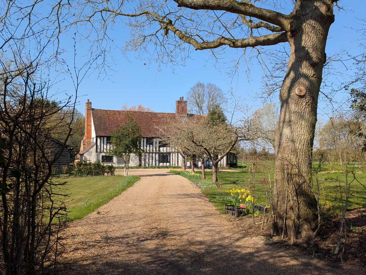 2026-03-19 14 Boxford and Hadleigh Heath.jpg