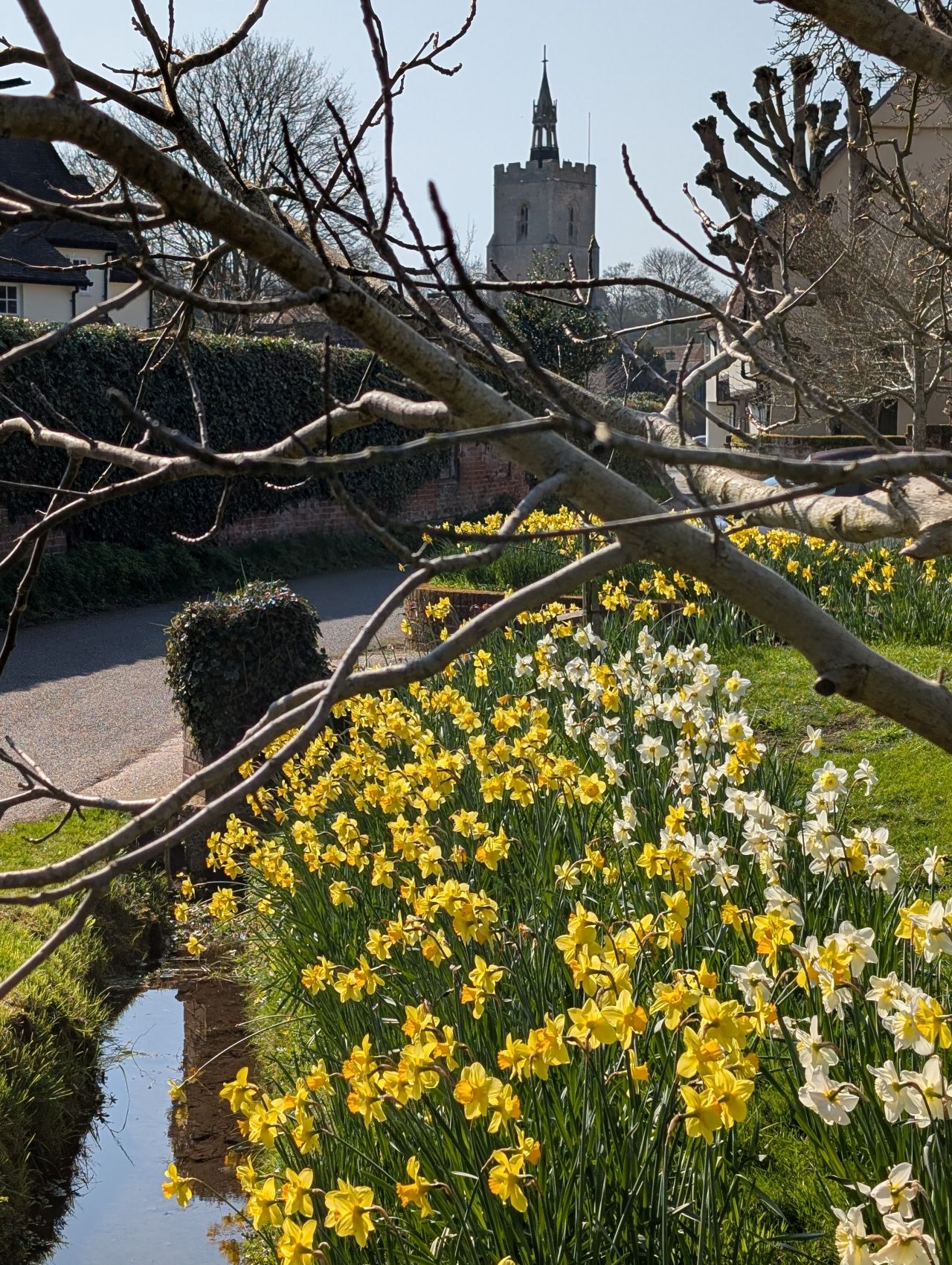 2026-03-19 17 Boxford and Hadleigh Heath.jpg