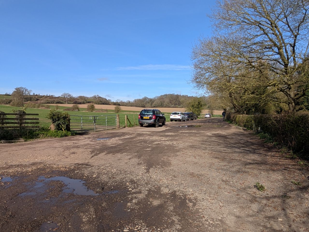 2026-03-21 35 Hadleigh Heath and Hadleigh.jpg