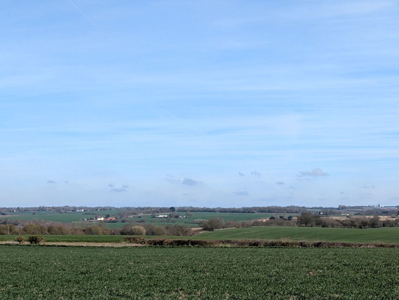 2026-03-21 36 Hadleigh Heath and Hadleigh.jpg